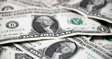 Der Dollar ist umstritten, aber nicht so schnell ersetzbar