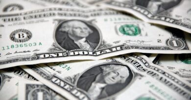 Der Dollar ist umstritten, aber nicht so schnell ersetzbar