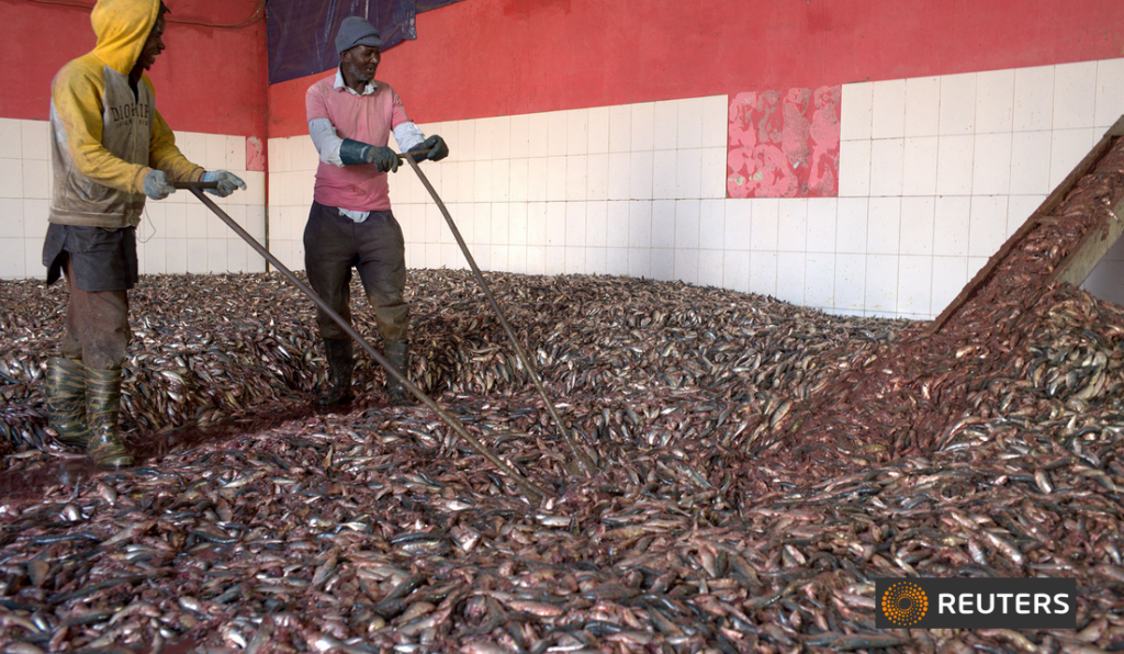 Reuters-Africa-Proteine-SA-Nouadhibou