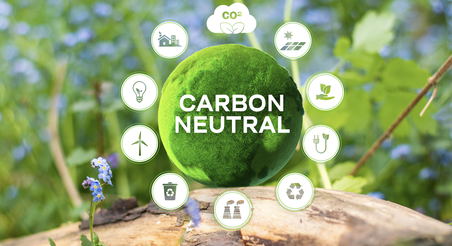 CO2-neutral als Ziel. igorstar996