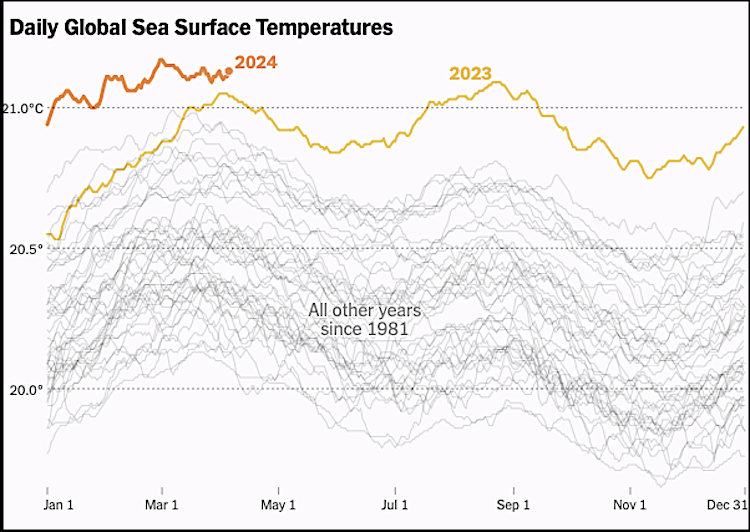 Ozeane Temperaturen