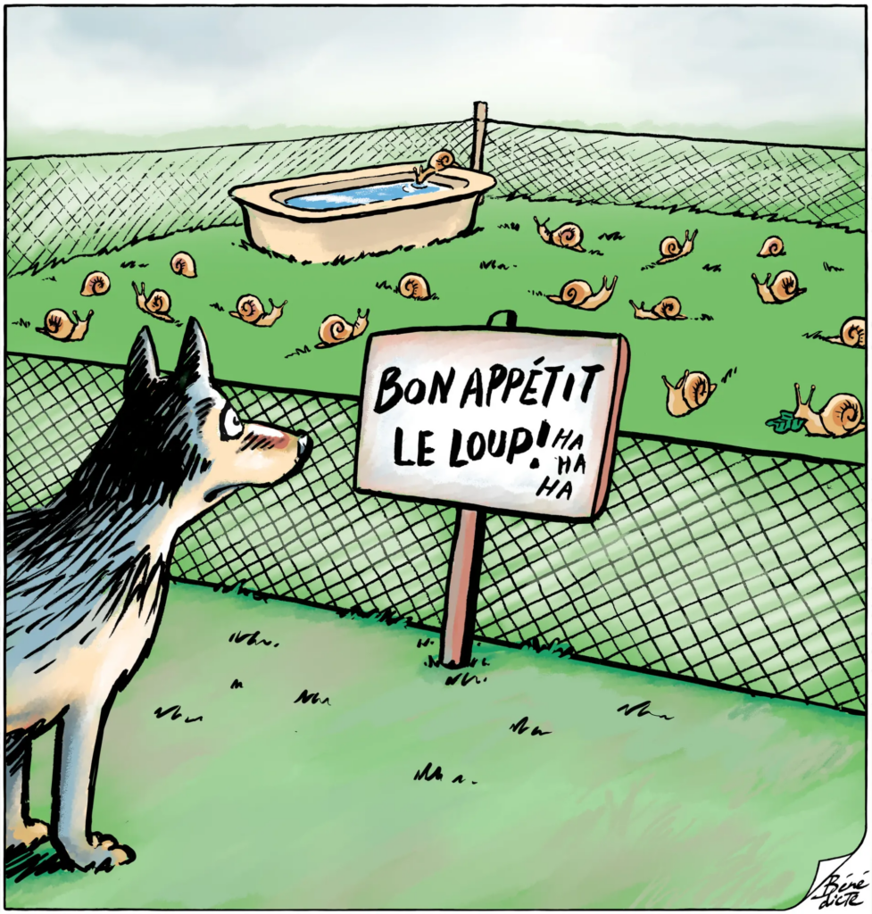 Cartoon Wolf