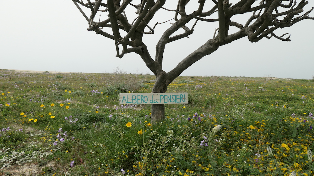 Albero dei pensieri