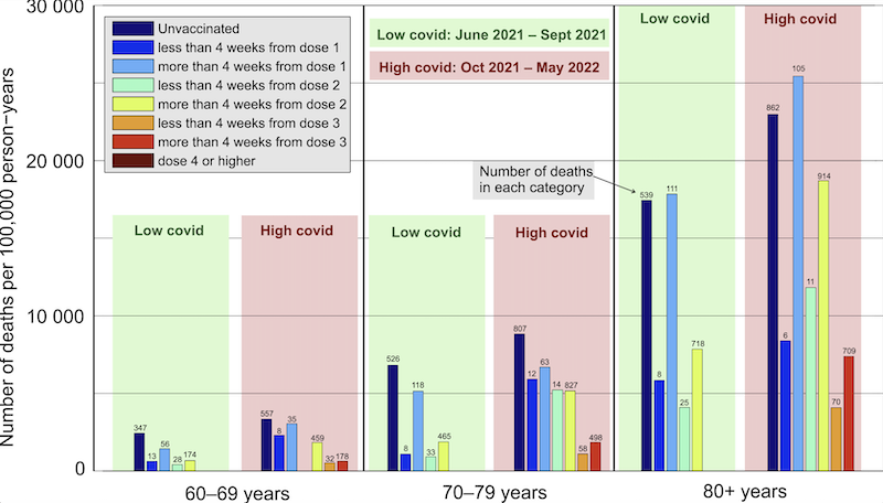 healthy vaccinee bias Tschechien