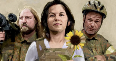 Grüne Politiker Spiegel