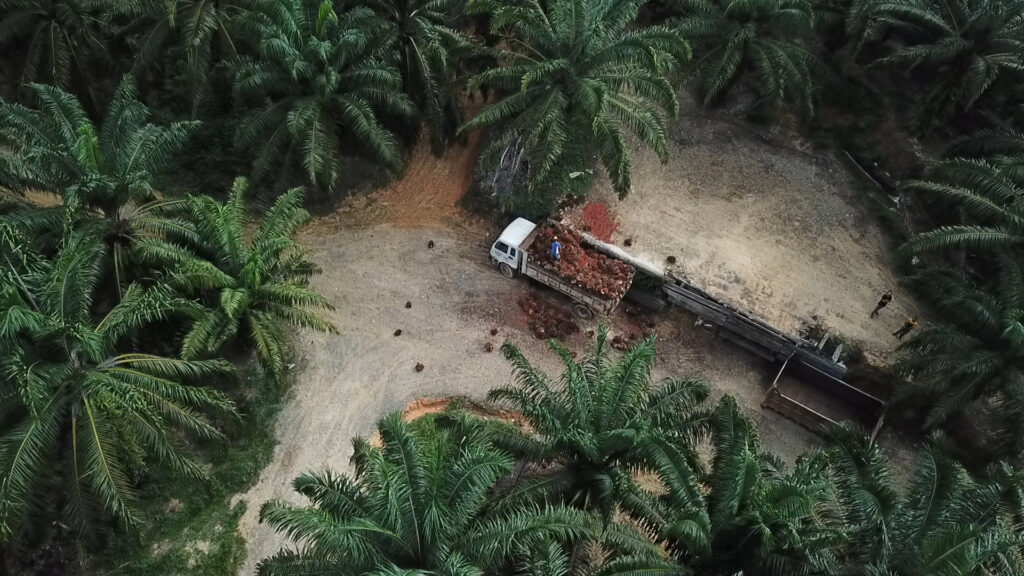 Palmoil_Malaysia2 (002)