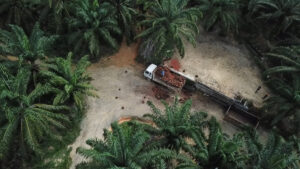 Palmoil_Malaysia2 (002)