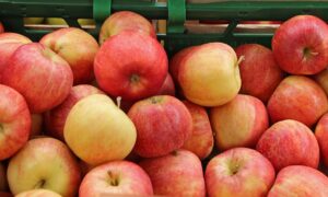 Apfel_Gala_Royal_02_(fcm)