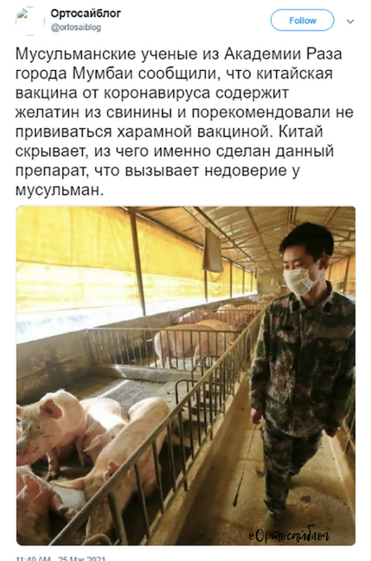 Fake News Pentagon Schweine