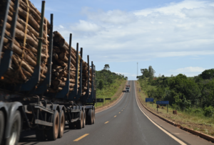 Holztransporter Suzano