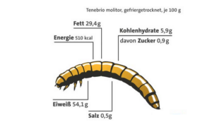 Mehlwurm Tagesschau