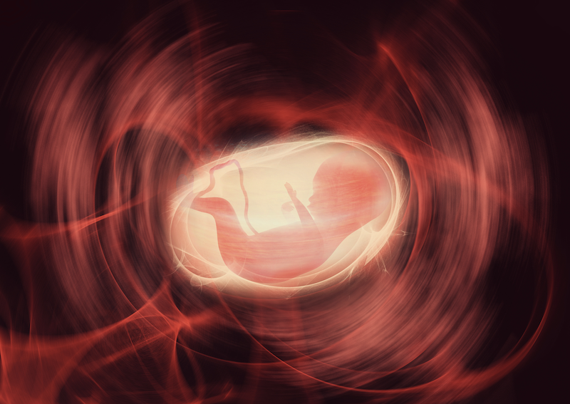 Baby im Mutterleib