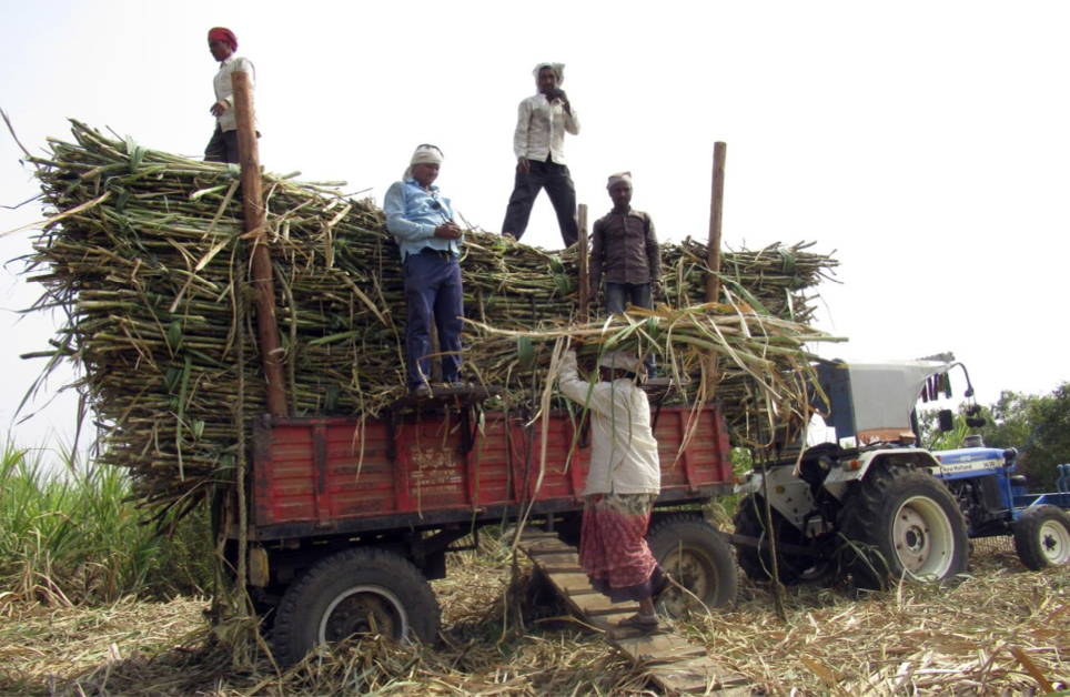 Zuckerrohr-Arbeiter in Maharashtra. Oxfam