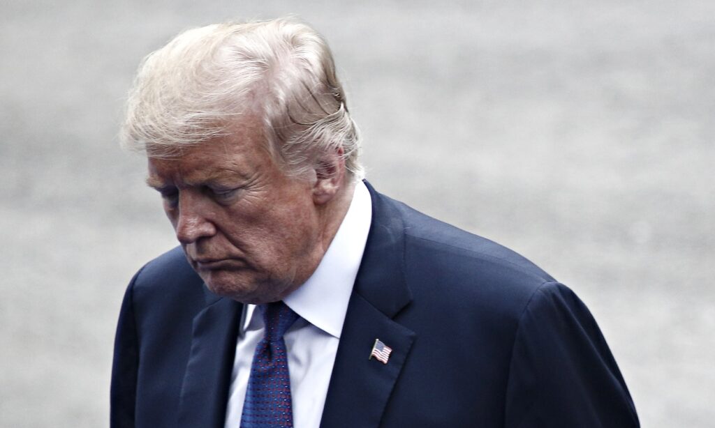 Donald Trump Ale_Mi