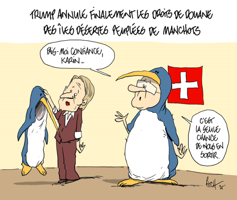 Pinguine flach