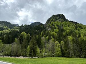 Verhängnisvoller Stacheldraht in der Unesco-Biosphäre