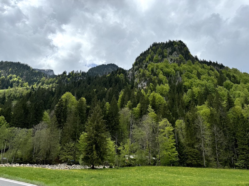 Biosphäre Entlebuch. Totale Hirseggwald.