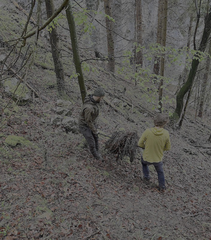 Stacheldralllolen hirseggwald