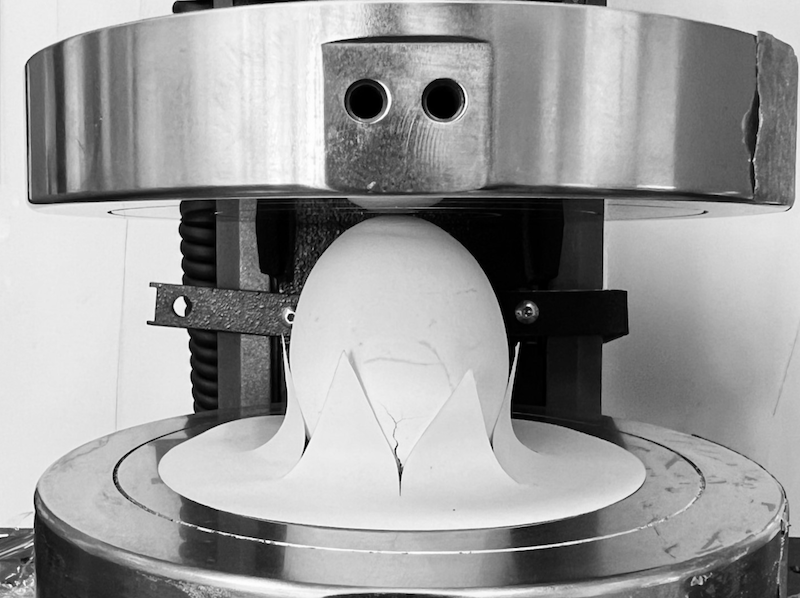 Testmaschine Eier