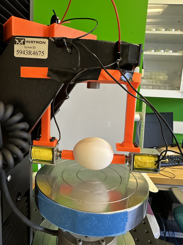Falltest Eier