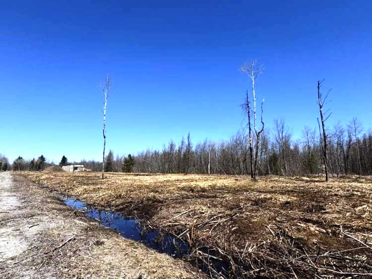 Site-after-felling-Blainville-Stablex-1024x768