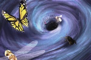 Insekten verschwinden rasant – auch in Schutzgebieten
