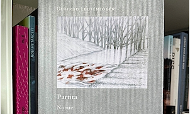 Buch Partita 2025-06-29 um 15.47.24