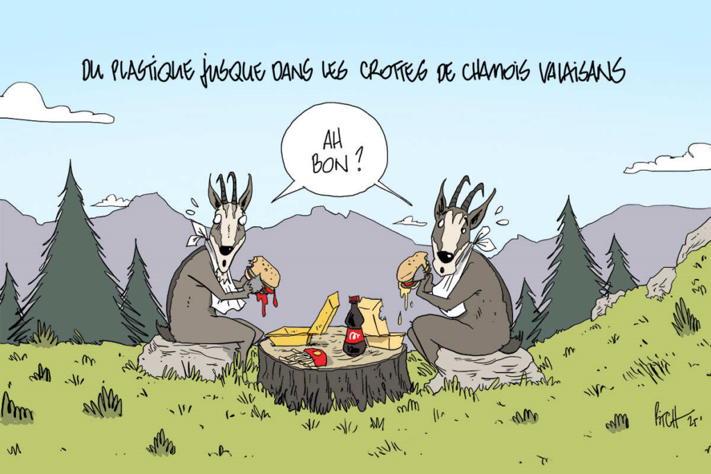 Gämsen