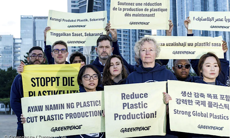 Greenpeace Plastik Sungwoo Lee Greenpeace