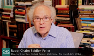 Rabbiner Chaim Seidler-Feller