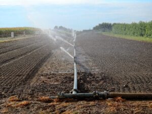 landscape-water-nature-track-field-wind-489410-pxhere.com