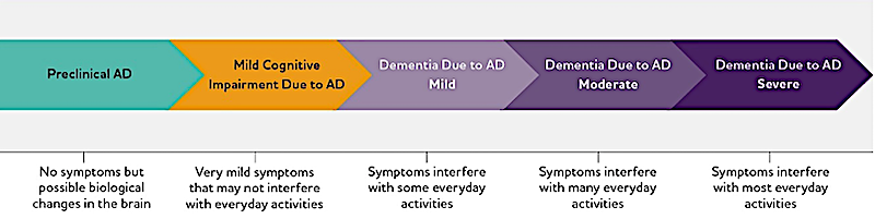 Alzheimer Stadien