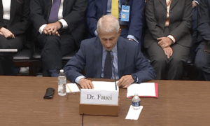 Anthony Fauci sagt vor dem House Oversight and Government Reform Committee aus