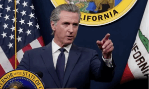 Gavin Newsom AI