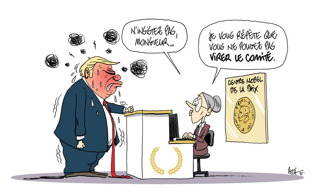 flach Trumpxx