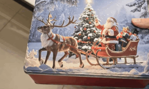 flach21351630-v11-bildschirmfoto-2025-10-23-um-10-43-07