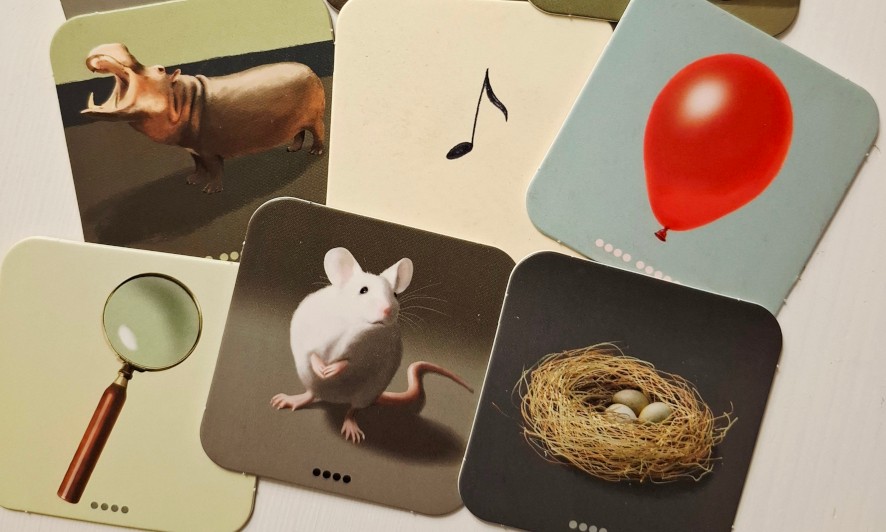 Blitz Zebra Astronaut 3