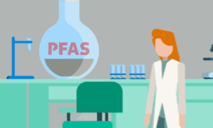 PFAS_Studie
