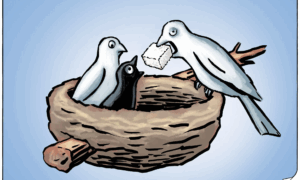 flach22v6Ecoj44n9NHhEIX0BON