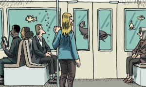 flachF6uvuGSi455B6mSpwS-Q9e