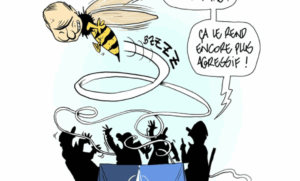 Pitch gewinnt den Swiss Cartoon-Award 2025