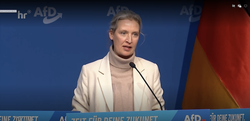 Alice Weidel