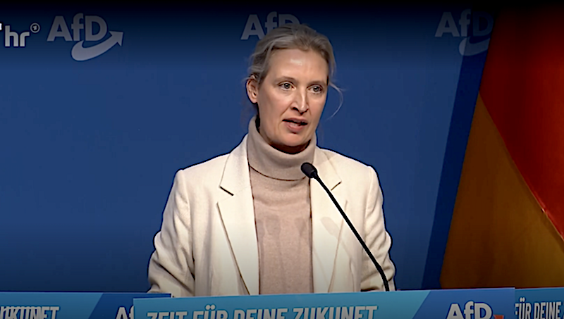 Alice Weidel Aufmacherbild