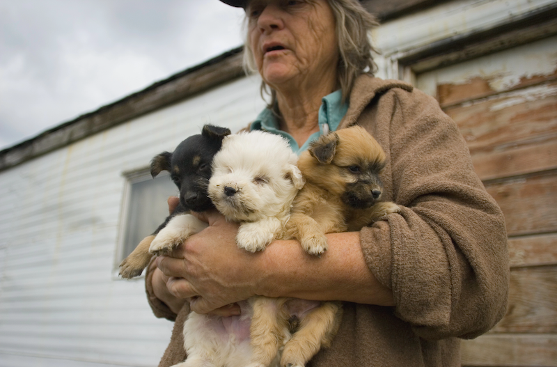 Frau mit Hundewelpen