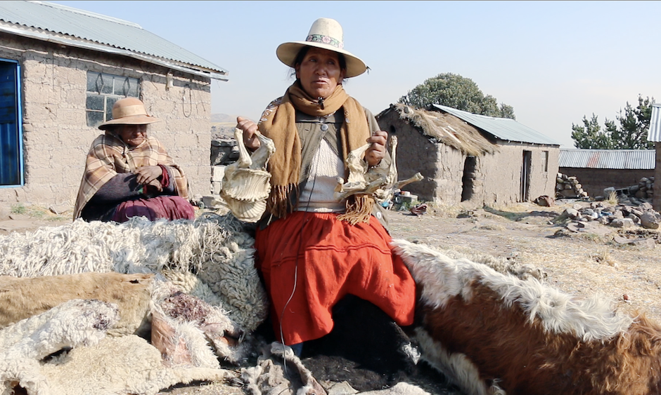 Damaza Ccoragza Yllpa