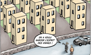 «Wir wollten den Charakter der Weinberge erhalten»