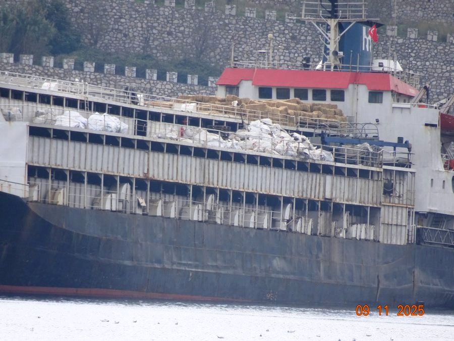 csm_DSC01164_29bc270f03