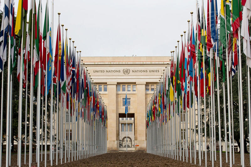 -Die-V-glein-schweigen-im-Walde-oder-eher-im-EDA