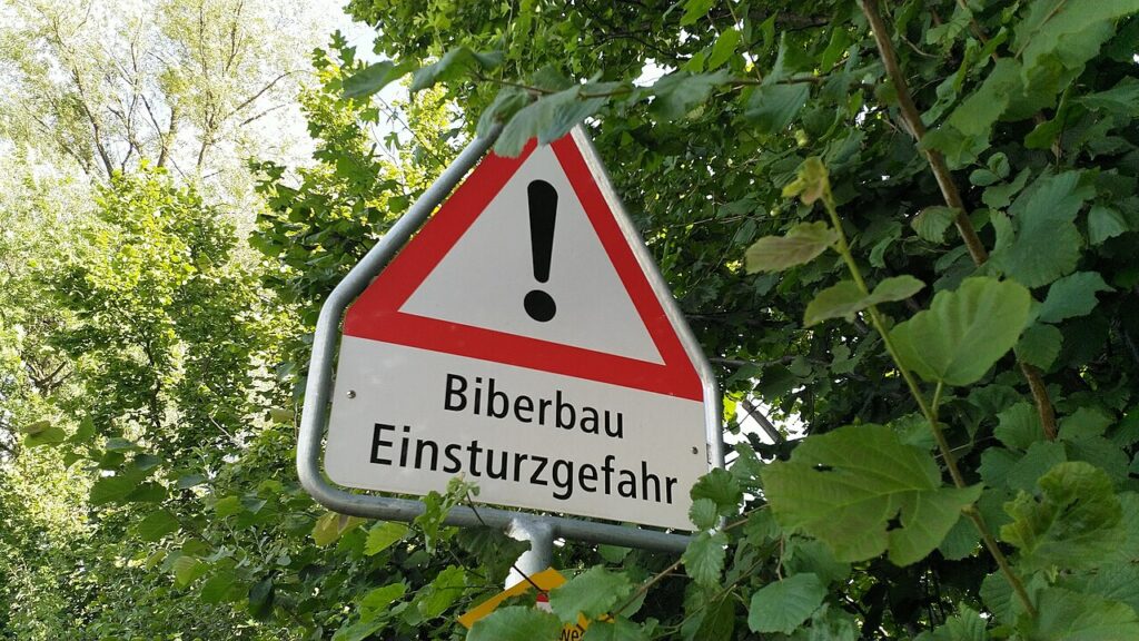 Warnschild_Biberbau_Einsturzgefahr_Altreu