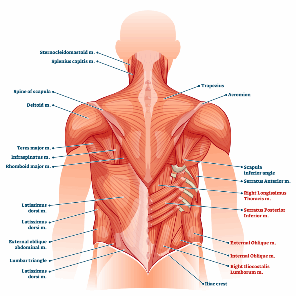 Depositphotos_415735054_XL